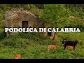 Podolica di Calabria | Storia del Territorio - Campana CS