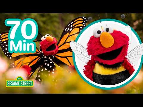 Elmo's Bug Party! 🐛🐞🦋 | 70 Mins | Sesame Street