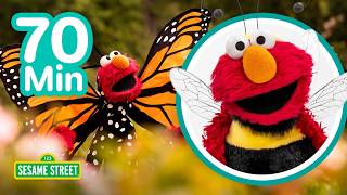 elmo s bug party 70 mins sesame street