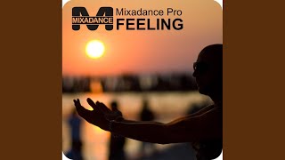 Feeling (Sergeev Remix)