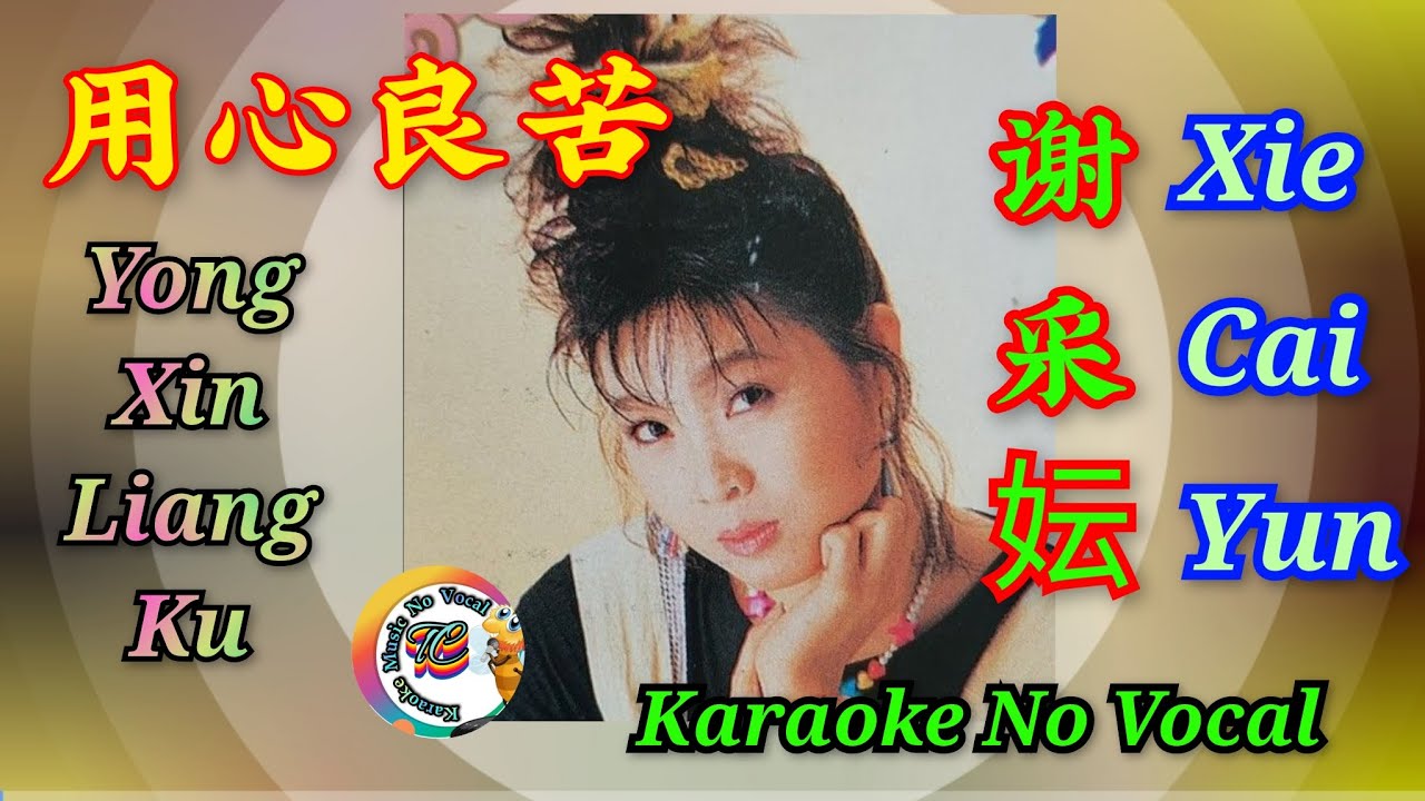 Yong Xin Liang Ku 用心良苦 ~ karaoke no vocal ~ 谢采妘 Xie Cai Yun