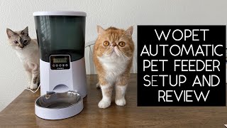 WOPET AUTOMATIC PET FEEDER SETUP AND REVIEW | SVEN AND ROBBIE