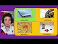 Convert English words into Spanish | Lesson 6: Add “o” to words that end in “ ic”