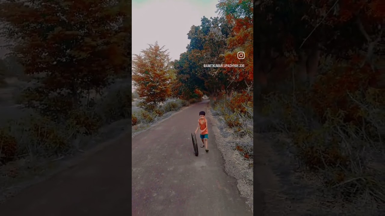 bag bagiche garden(3)