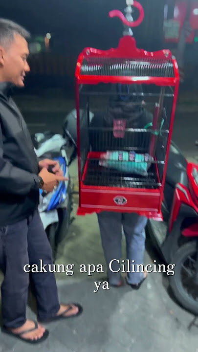 Dangkar kosan ebod towards Cilincing #kicaumania