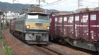 JR貨物　復活したEF66 52牽引8090レ/JR-Freight ClassEF66　＠石山　2012/7/11
