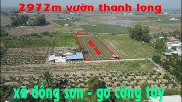 ➀➄➀➂ vườn thanh long 2972m xã Đồng sơn gò công tây cần bán gấp