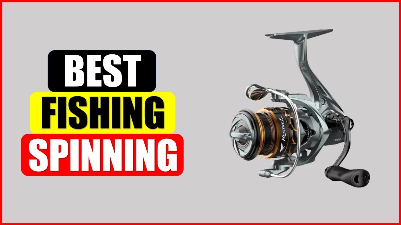 Top 5 Best Fishing Spinning in 2024