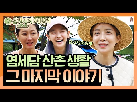 [모아보기] 염세담의 산촌 <strong>생활</strong> 그 마지막 이야기 (★스포  깜짝 손님 있음!) | 삼시세끼 산촌편 3 Meals a <strong>Day</strong> - mountain village 191018 EP.1