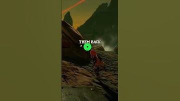 Early Game Octorok Fun Fact BOTW