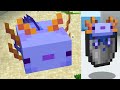 How To Get a Blue Axolotl in Minecraft