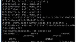 Creating Docker Private Registry from scratch nonproduction only