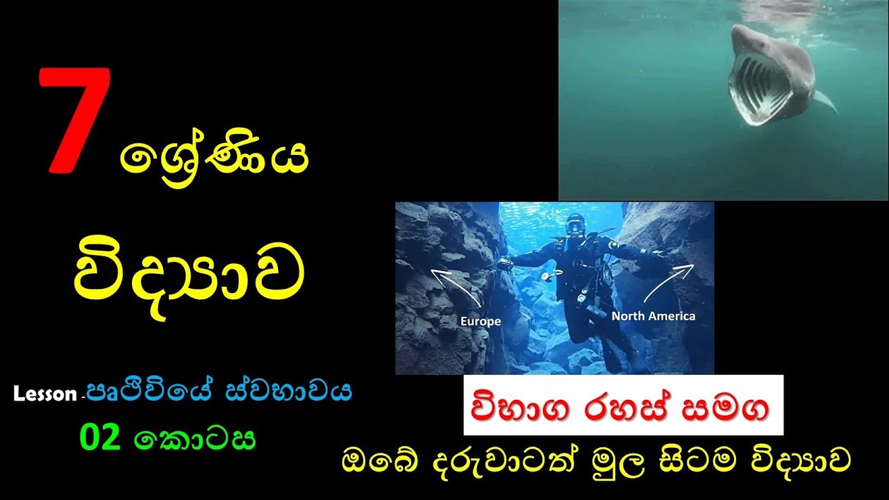 grade 7 science lessons in sinhala mediumgrade 7 sciencescience