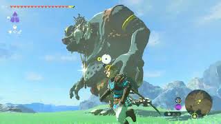 Zelda ToTK Part 60 Obtaining remaining Zora Armour Set Helm & Legs and full upgrades