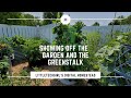 The GreenStalk and  the Garden | Showing Off Rainy Growth