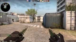 First Shadow Dagger Unboxing EVER in GAME! Bonus Knife Kill Too! Shadow Case Unboxing! screenshot 5