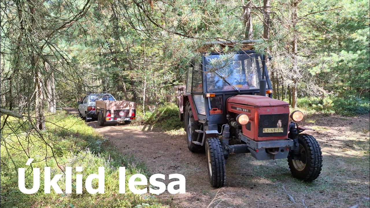 Těžba sušin - Zetor 6911 + Krpan 5Si - STIHL 261 + Husqvarna 345