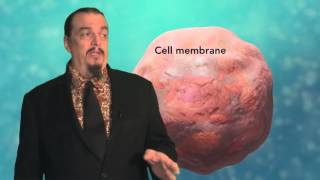 MSLS1.B Why Cells Divide