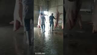 EL HOMBRE MÁS FUERTE.