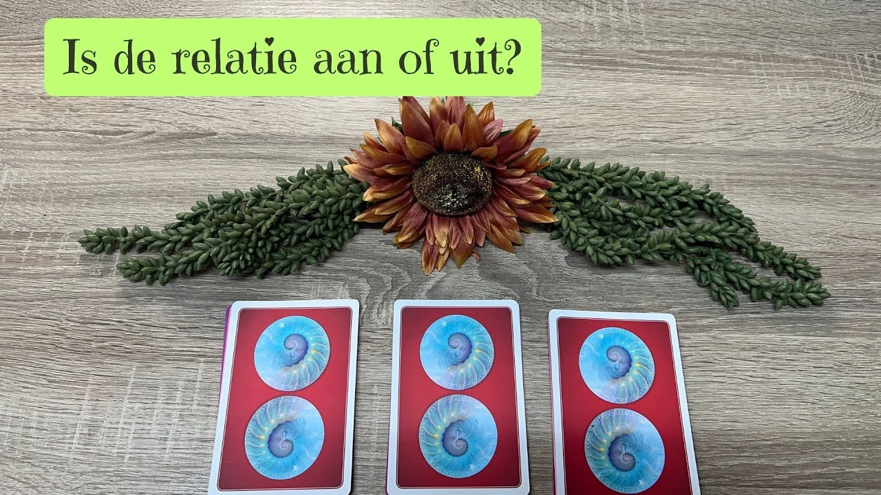 On Is Dat Aan Of Uit