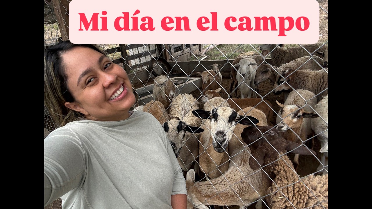 Video 91. SEMBRANDO SANDIA, TOMATES, CHILES Y MÁS