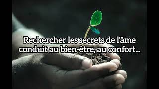 Mots de sagesse méditation