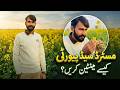 Mustard Seed Purity Kaise Maintain Karein? | Seed Purity Guide | Ignition Seeds