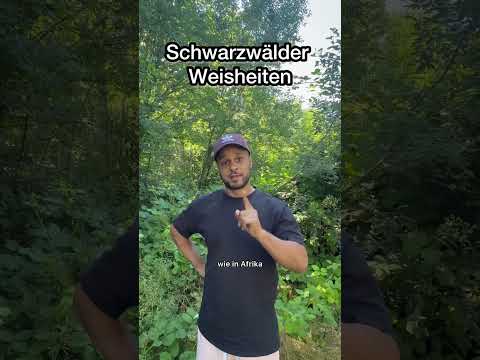 Schwarzwälder Weisheiten