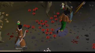 Pking in Wilderness using Prayer teleblock max pure