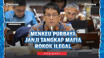 Menkeu Purbaya Geram! Janji Kejar dan Tangkap Mafia Penyelundupan Rokok Ilegal & Tekstil!