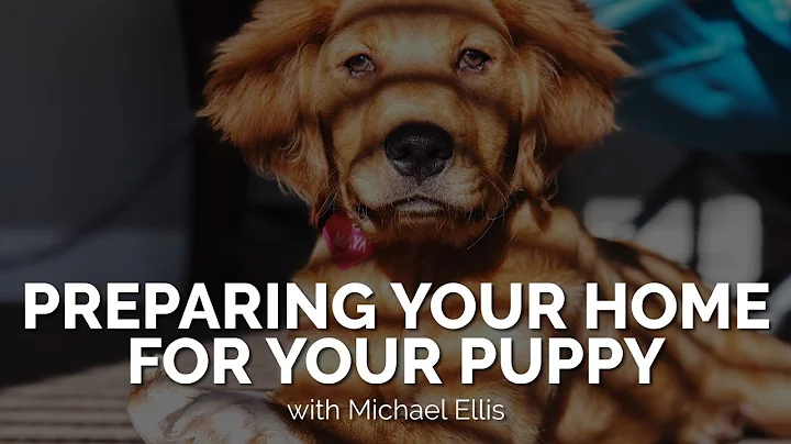 Preparing Your Home for Your Puppy with Michael Ellis