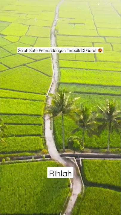 STORY WA KEREN 30 DETIK | RIHLAH SAWAH CIHUNI GARUT #shorts