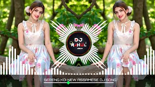 Sereng Koi || New Assamese Dj Song 2025 || Dj Hard Electro Mix || Dj Rahul Assam