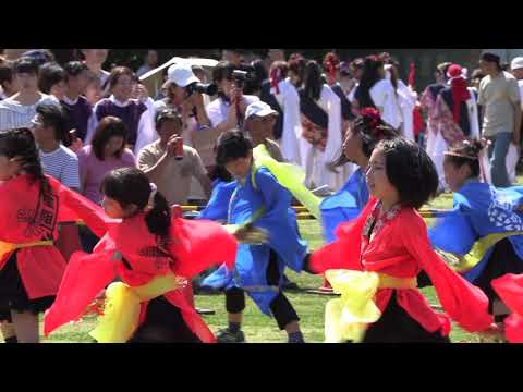 湘南よさこい祭り2018　「よさこい星華隊」