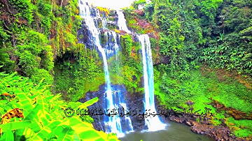 ارح سمعك😴🎧القارئ الشاب حاتم الناظر || سورة الفرقان Cheb Hatem Al-Nazer || Surah Al-Furqan