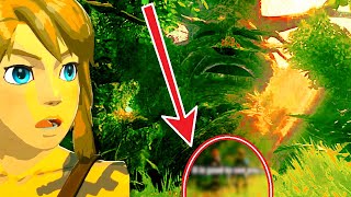 Secrets Underneath The Great Deku Tree Zelda Totk