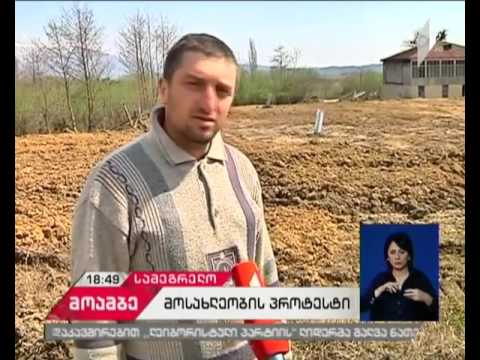 სოფელი ჭალეს მოსახლეობა მაღალი ძაბვის ელექტროგადამცემი ხაზების მშენებლობას ეწინააღმდეგება