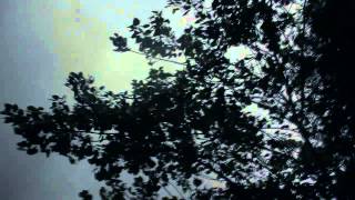 Environmental Poetic Documentary