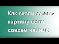 Как скопировать картину если совсем "Чайник". Павел Сивков. Школа Креатива.