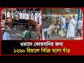ওমানে কোরবানির জন্য ১২৬০ রিয়ালে বিক্রি হলো ষাঁড় । Oman Eid News । Eid al-Adha । Probash Time