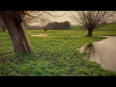 River Glyme 1