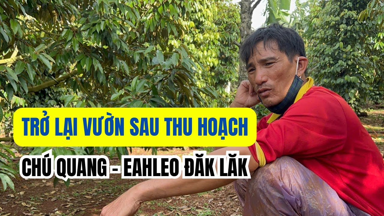 ĐỂ KÉO 1 CƠI LÁ CHUẨN THÌ BÔNG VÀ ĐỌT PHẢI NHƯ THẾ NÀO?