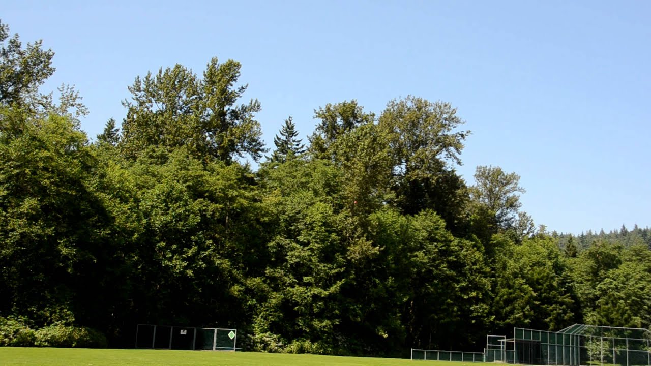 XtReMe98 flying his Ultra-Micro Beast