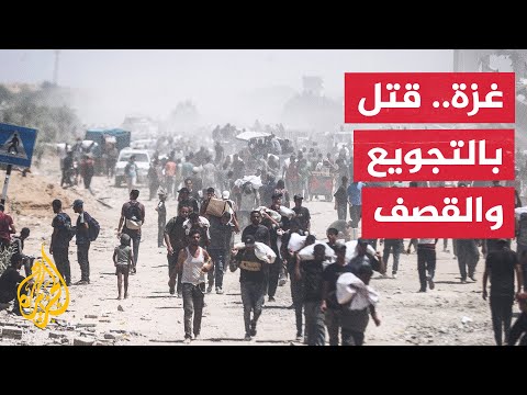 الاحتلال الإسرائيلي يقتل 71 باحثا عن الغذاء و7 وفيات جراء سوء التغذية في 24 ساعة