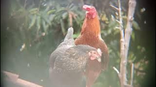 There is no other - Silvy Kumalasari Om.Himawan