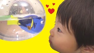 ファインディング・ドリー プレイセット エサやりしたよ♪ こうくんねみちゃん ロボフィッシュ FINDING DORY Marine Life Institute Playset