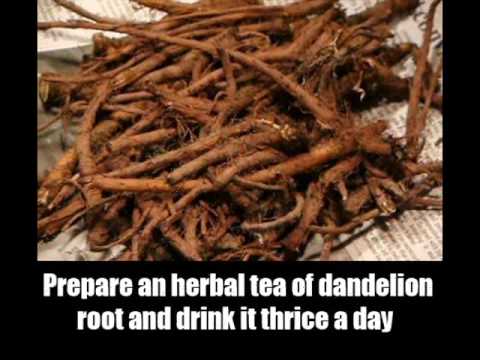 Natural Remedies For Ascites In Dogs Natural Remedies For Ascites In Dogs