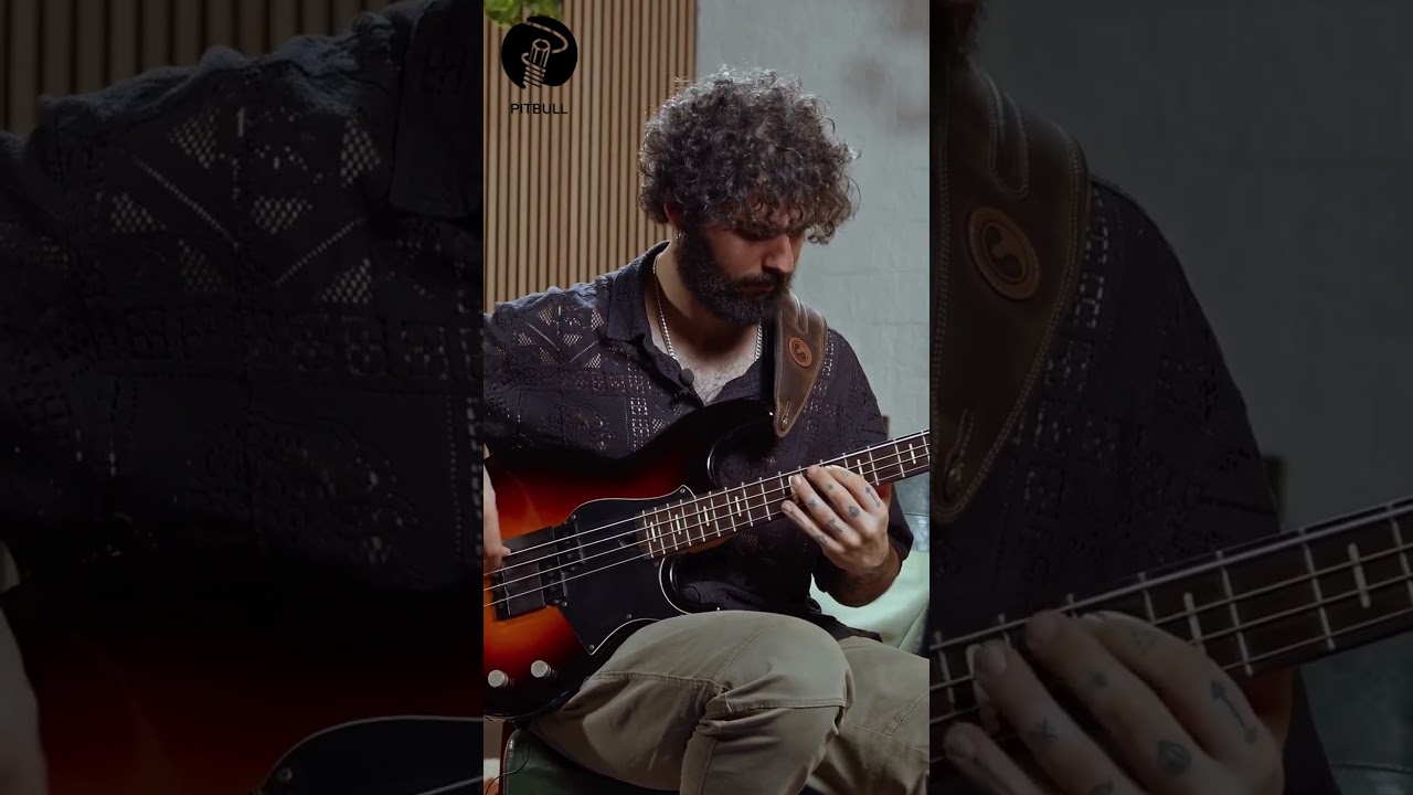 @vincengarcia  pitbullstrings.com.br 