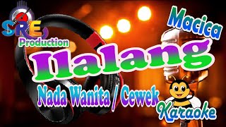 Ilalang Karaoke Versi Dut Band Nada Cewek Macica Muktar || Cipt. Camelia Malik