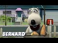 Bernard Bear | Bernard's Delicious Donuts AND MORE | Cartoons for Children | Full Episodes